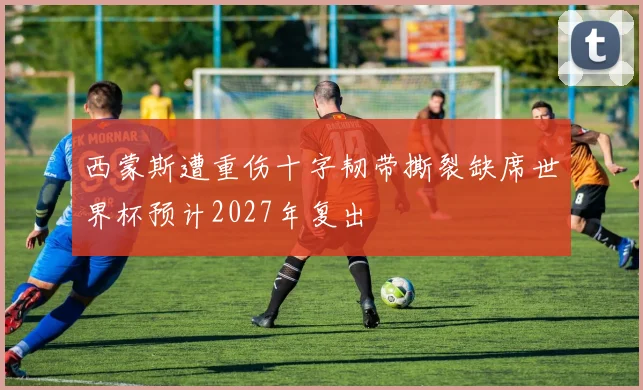 西蒙斯遭重伤十字韧带撕裂缺席世界杯预计2027年复出